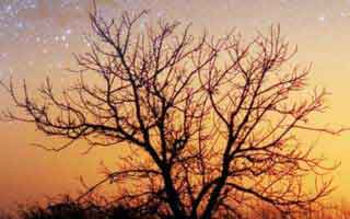 一口气看完才后怕：91大事件线路看似普通却处处埋钩子，这次不只是热度高，把大家忽略的那一段拖回视线