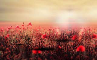 91视频背后的91大事件：真相究竟藏在最不起眼的那几秒里